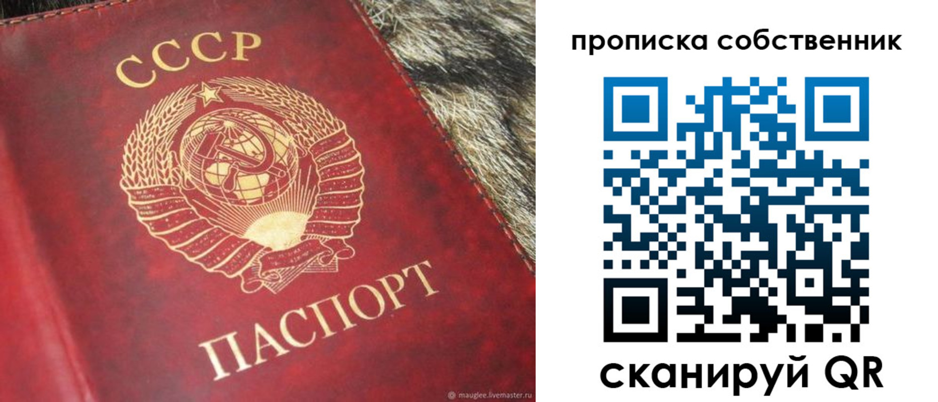 прописка в квартире в Шагонаре